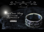 �l�C�V���o�[�A�N�Z�T���[
